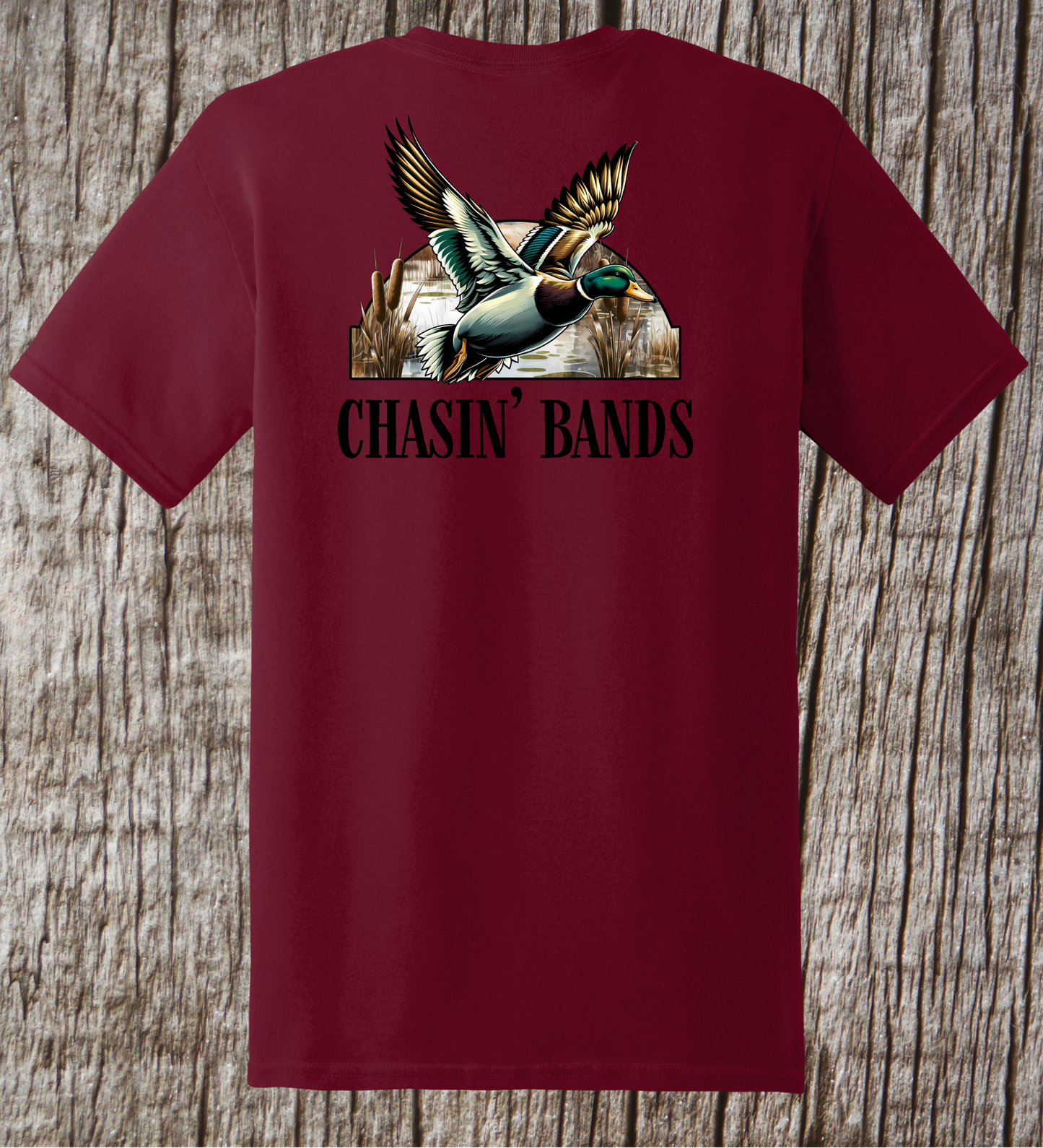 Chasing Bands Tee