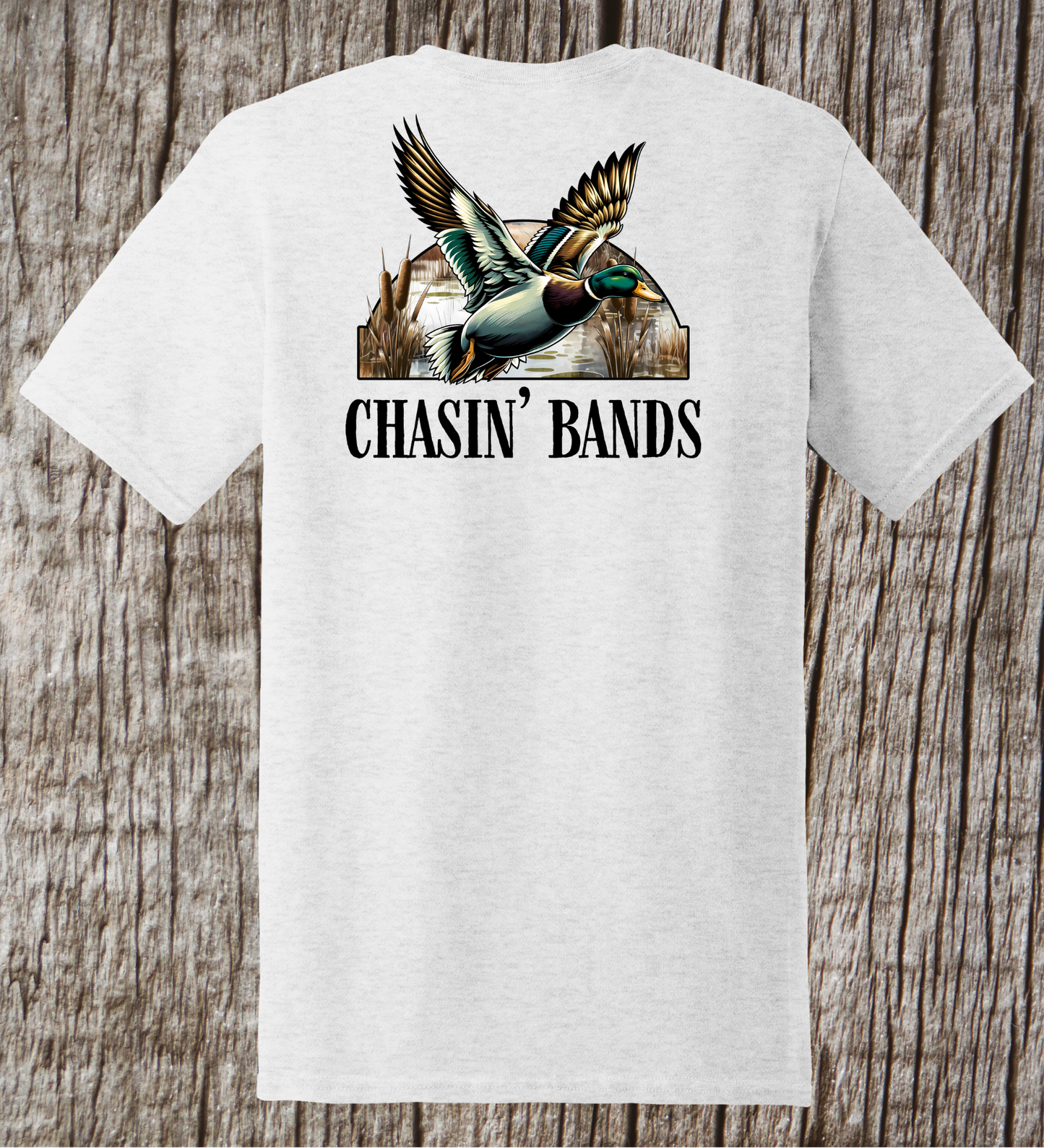 Chasing Bands Tee