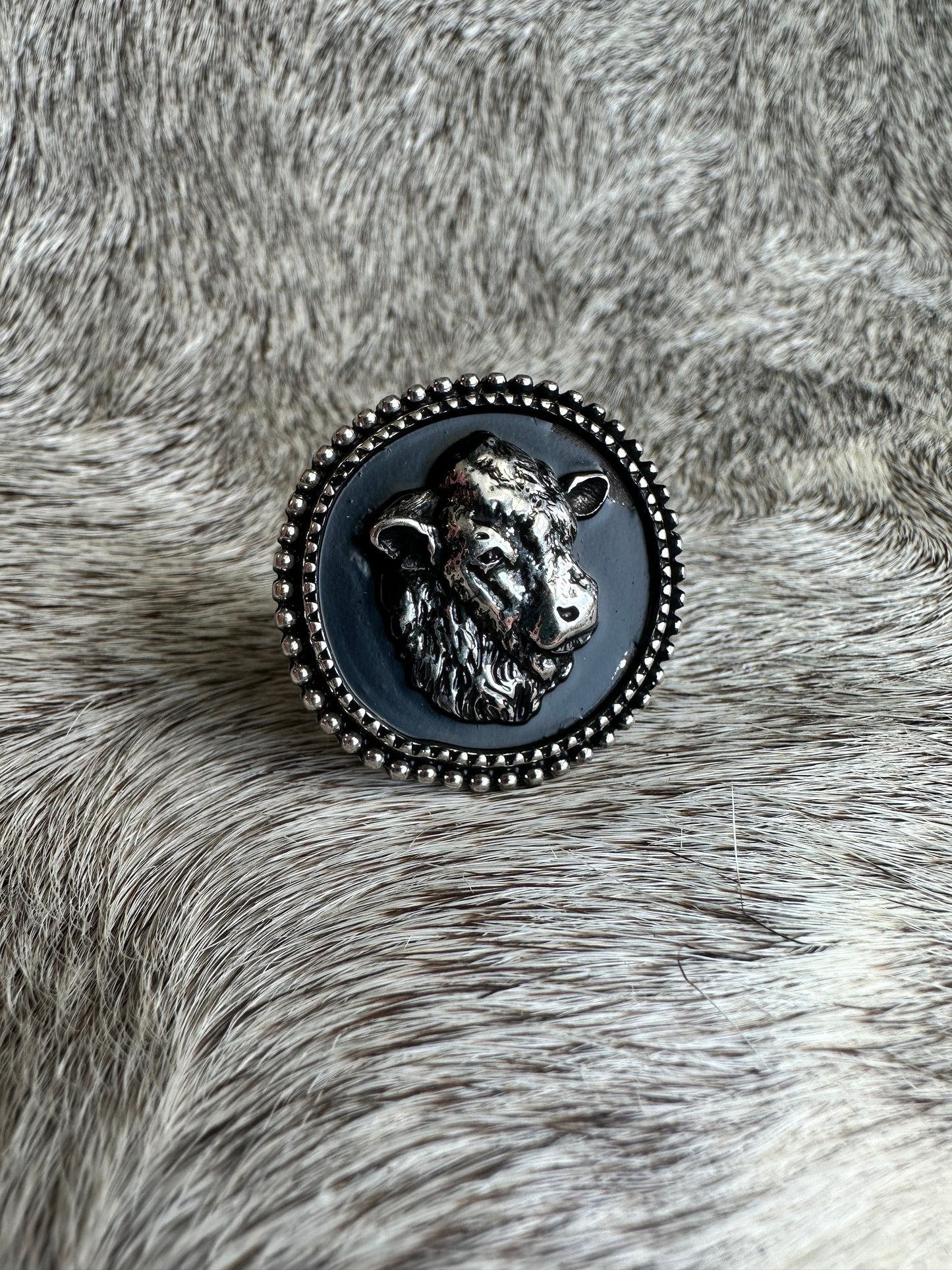 Clara Bull Ring