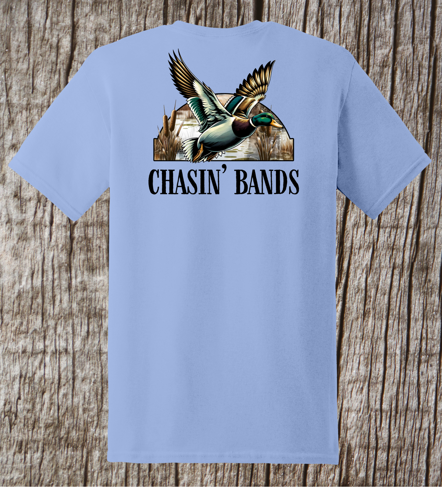 Chasing Bands Tee