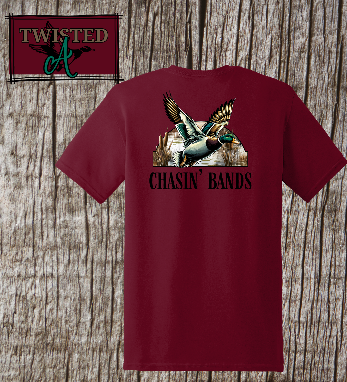 Chasing Bands Tee